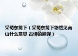 采菊东篱下（采菊东篱下悠然见南山什么意思 古诗的翻译）
