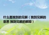 什么是独到的见解（独到见解的意思 独到见解的解释）