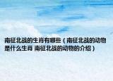 南征北战的生肖有哪些（南征北战的动物是什么生肖 南征北战的动物的介绍）