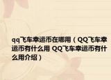 qq飞车幸运币在哪用（QQ飞车幸运币有什么用 QQ飞车幸运币有什么用介绍）