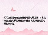 毛毛虫解说方舟生存进化寻找七颗龙珠1（七龙珠里边的七颗龙珠分别叫什么 七龙珠里边的七颗龙珠介绍）