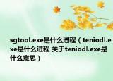 sgtool.exe是什么进程（teniodl.exe是什么进程 关于teniodl.exe是什么意思）