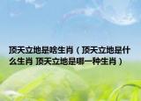 顶天立地是啥生肖（顶天立地是什么生肖 顶天立地是哪一种生肖）