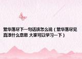 繁华落尽下一句话该怎么说（繁华落尽见真淳什么意思 大家可以学习一下）