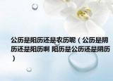 公历是阳历还是农历呢（公历是阴历还是阳历啊 阳历是公历还是阴历）