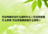 空谷传响空谷什么用作什么（空谷传音是什么意思 空谷传音具体是什么意思）