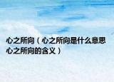 心之所向（心之所向是什么意思 心之所向的含义）