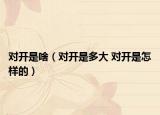 对开是啥（对开是多大 对开是怎样的）