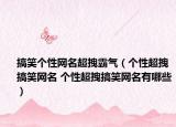 搞笑个性网名超拽霸气（个性超拽搞笑网名 个性超拽搞笑网名有哪些）