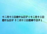 十二月十三日是什么日子（十二月十三日是什么日子 十二月十三日是哪个日子）
