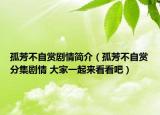 孤芳不自赏剧情简介（孤芳不自赏分集剧情 大家一起来看看吧）