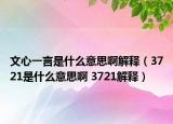 文心一言是什么意思啊解释（3721是什么意思啊 3721解释）