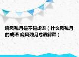 晓风残月是不是成语（什么风残月的成语 晓风残月成语解释）