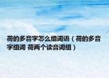 荷的多音字怎么组词语（荷的多音字组词 荷两个读音词组）