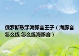俄罗斯歌手海豚音王子（海豚音怎么练 怎么练海豚音）