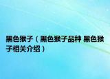 黑色猴子（黑色猴子品种 黑色猴子相关介绍）