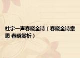 杜宇一声春晓全诗（春晓全诗意思 春晓赏析）