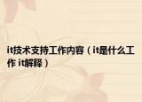 it技术支持工作内容（it是什么工作 it解释）