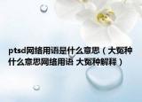 ptsd网络用语是什么意思（大冤种什么意思网络用语 大冤种解释）