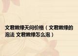 文君嫩绿天问价格（文君嫩绿的泡法 文君嫩绿怎么泡）