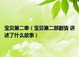 宝贝第二季（宝贝第二部剧情 讲述了什么故事）