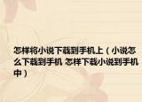 怎样将小说下载到手机上（小说怎么下载到手机 怎样下载小说到手机中）