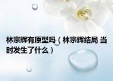 林宗辉有原型吗（林宗辉结局 当时发生了什么）