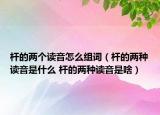 杆的两个读音怎么组词（杆的两种读音是什么 杆的两种读音是啥）