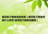 猫哭耗子假慈悲的意思（猫哭耗子假慈悲是什么意思 猫哭耗子假慈悲解释）