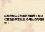 虹鳟鱼和三文鱼的区别图片（红烧虹鳟鱼的家常做法 如何做红烧虹鳟鱼）