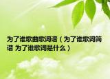 为了谁歌曲歌词谱（为了谁歌词简谱 为了谁歌词是什么）