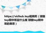 https://vidhub.top视频库（球圈top阿中哥是什么梗 球圈top阿中哥的意思）