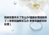 购房发票丢失了怎么办?最新处理流程来了（家里有鼬蜓怎么办 家里有鼬蜓怎样处理）