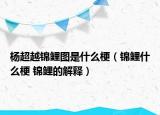 杨超越锦鲤图是什么梗（锦鲤什么梗 锦鲤的解释）