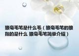 狼毫毛笔是什么毛（狼毫毛笔的狼指的是什么 狼毫毛笔简单介绍）