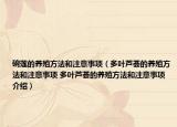 碗莲的养殖方法和注意事项（多叶芦荟的养殖方法和注意事项 多叶芦荟的养殖方法和注意事项介绍）