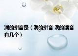 淌的拼音是（淌的拼音 淌的读音有几个）