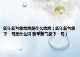 新年新气象意思是什么意思（新年新气象下一句是什么词 新年新气象下一句）