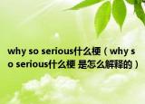 why so serious什么梗（why so serious什么梗 是怎么解释的）