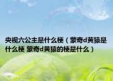 央视六公主是什么梗（蒙奇d黄猿是什么梗 蒙奇d黄猿的梗是什么）