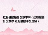 红粉骷髅是什么意思啊（红粉骷髅什么意思 红粉骷髅怎么理解）