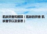 肌肤拼音和解释（肌肤的拼音 肌肤音节以及意思）