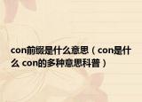 con前缀是什么意思（con是什么 con的多种意思科普）