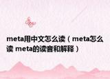 meta用中文怎么读（meta怎么读 meta的读音和解释）