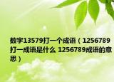 数字13579打一个成语（1256789打一成语是什么 1256789成语的意思）