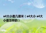 a4大小是几厘米（a4大小 a4大小是怎样的）