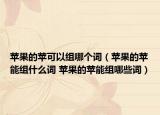 苹果的苹可以组哪个词（苹果的苹能组什么词 苹果的苹能组哪些词）