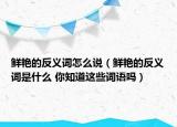 鲜艳的反义词怎么说（鲜艳的反义词是什么 你知道这些词语吗）