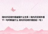 墙内开花墙外香是指什么生肖（墙内开花墙外香下一句对联是什么 墙内开花墙外香的后一句）