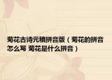 菊花古诗元稹拼音版（菊花的拼音怎么写 菊花是什么拼音）